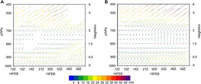 On the Contributions of the Northeast Cold Vortex to the Formation and Evolution of Backflow Blizzard